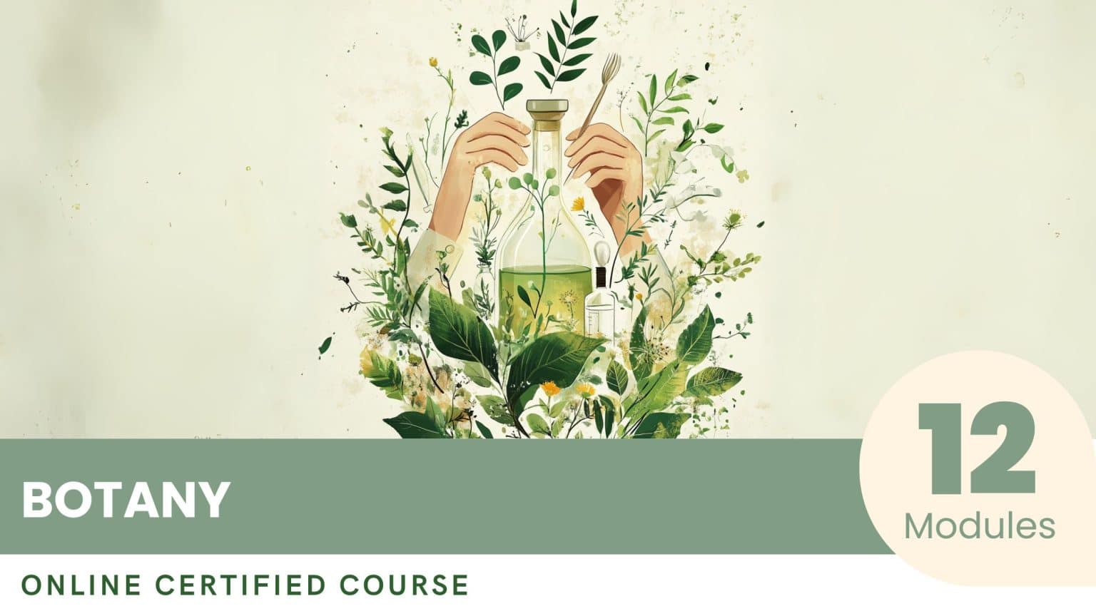 Excellence Program in Botany – Certified Excellence
